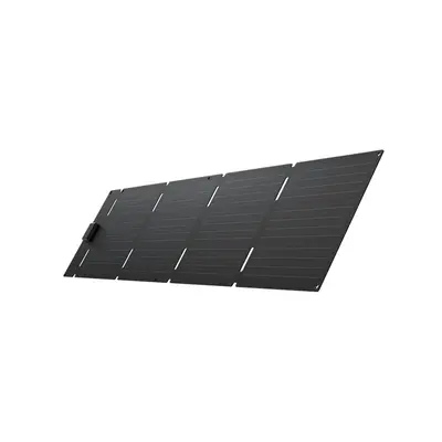 ECOFLOW 60W Prijenosni Solarni Panel (USB-C)