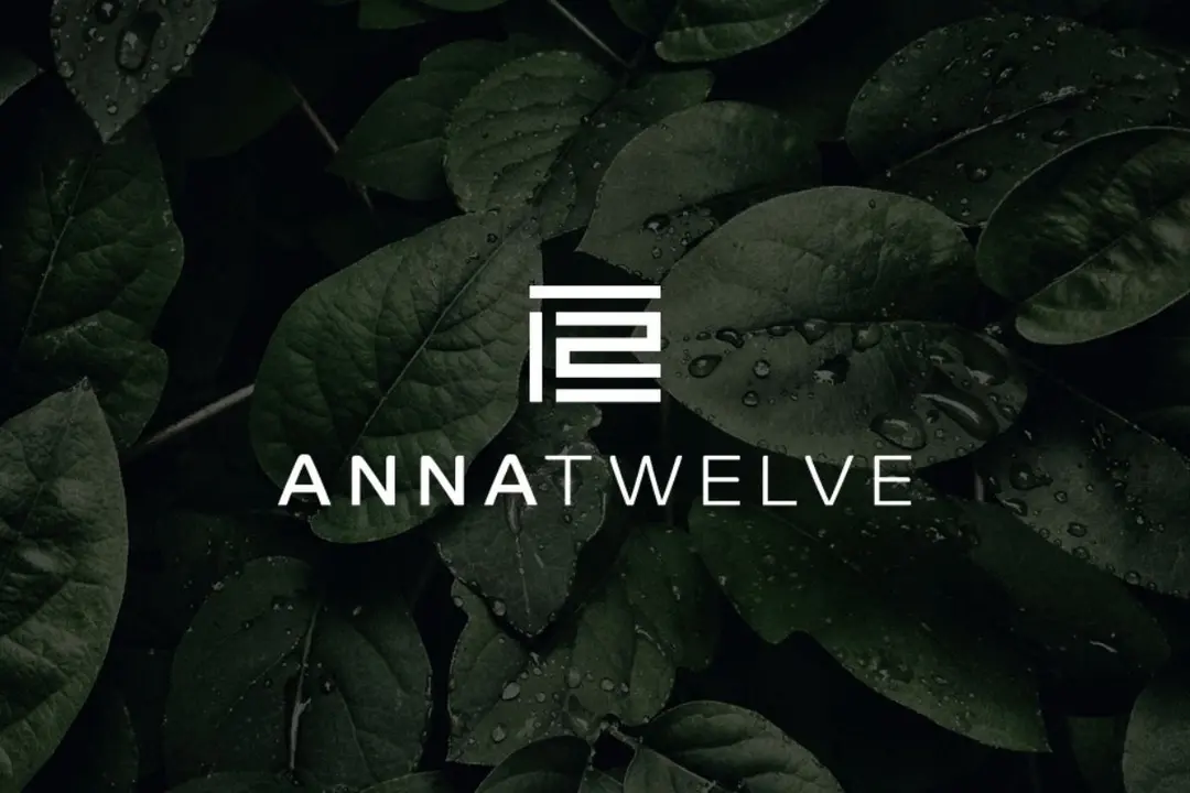 Anna Twelve - Mirisi za prostor